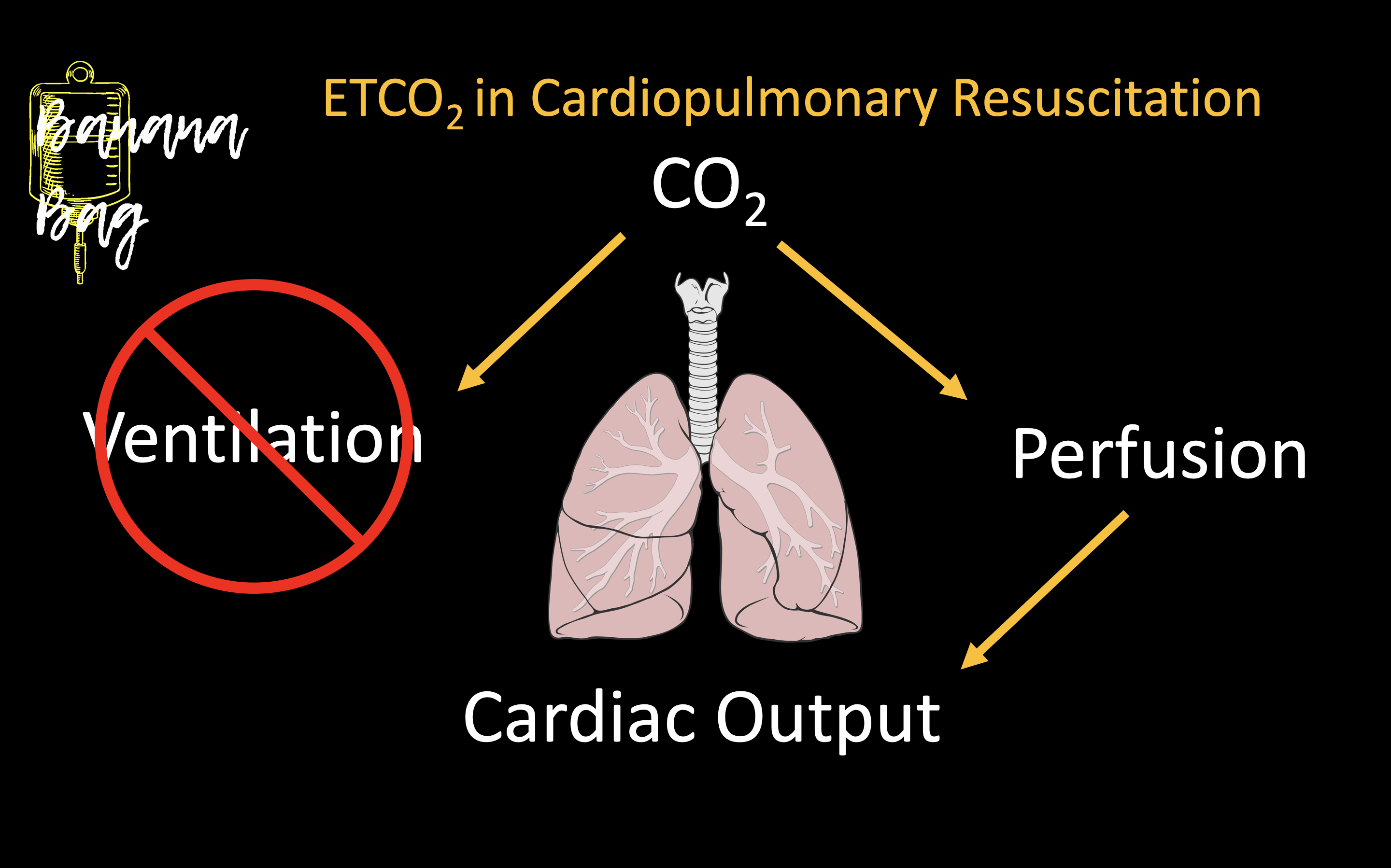 is-end-tidal-co2-the-real-6th-vital-sign